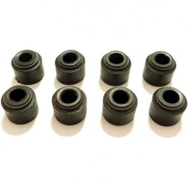 SET of 8 Valve Stem Seals - Spring Type