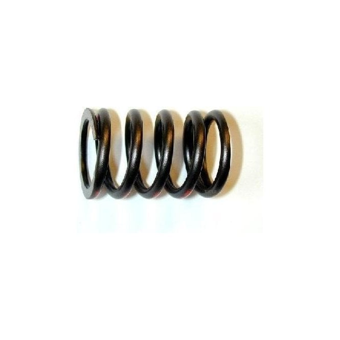 Valve Spring 803/948/1098cc