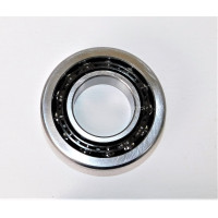 Image for Diff Carrier Bearing